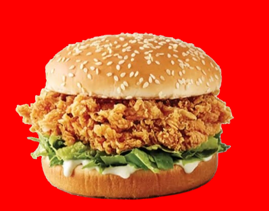 WhatsApp_Image_2025-07-11_at_11.58.45_PM-removebg-preview Zinger Burger